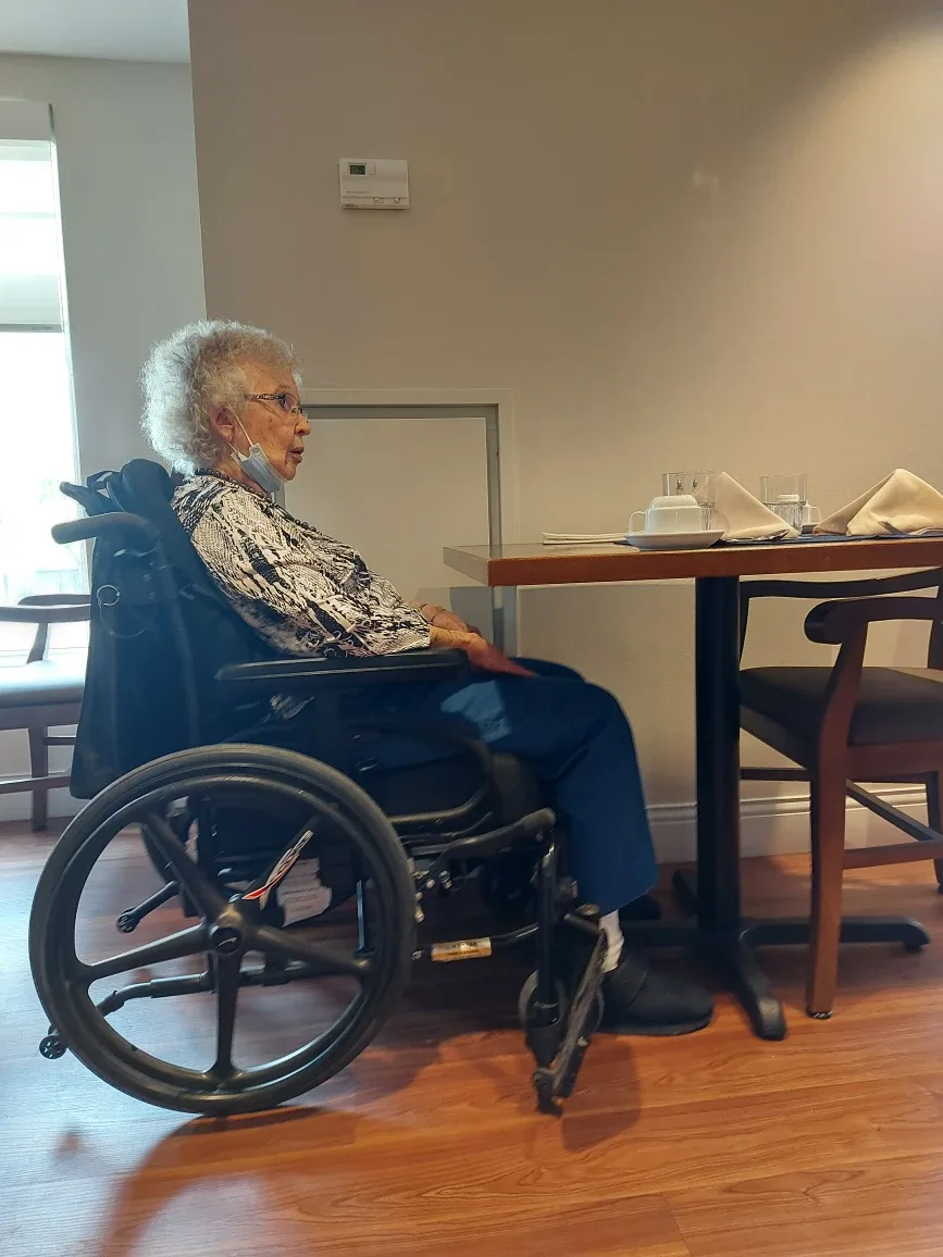 Wheelchair image indicator(3)