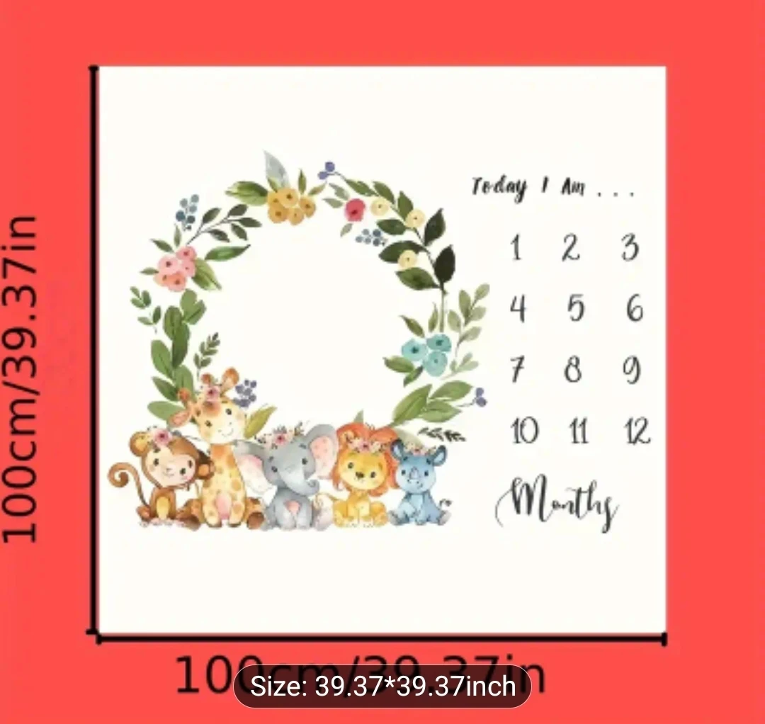 Baby Milestone - New in Package!