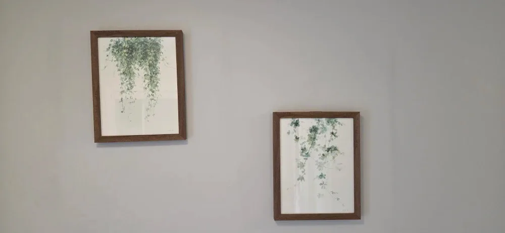Framed botanical prints