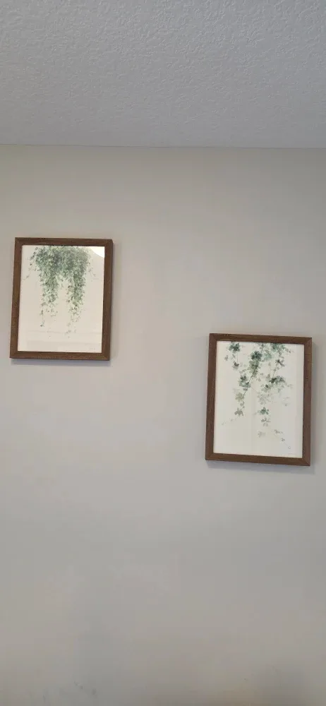 Framed botanical prints image indicator(2)