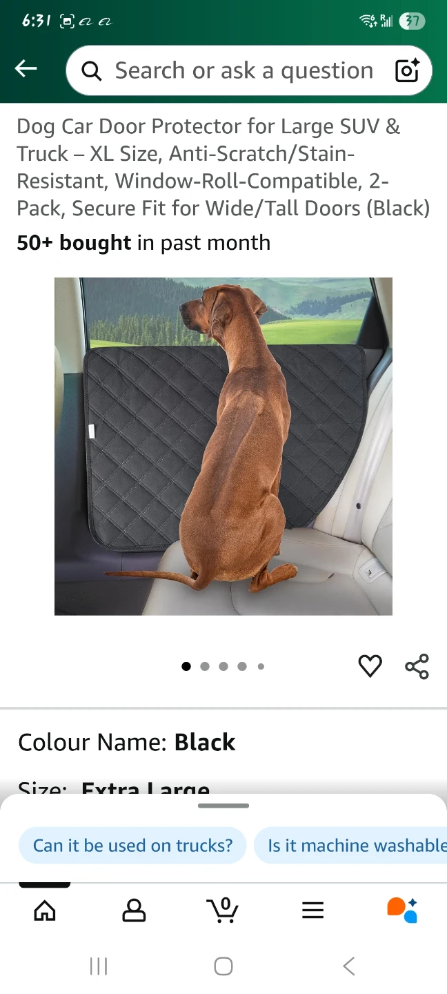 Dog Car Door Shields - XL Size, Black