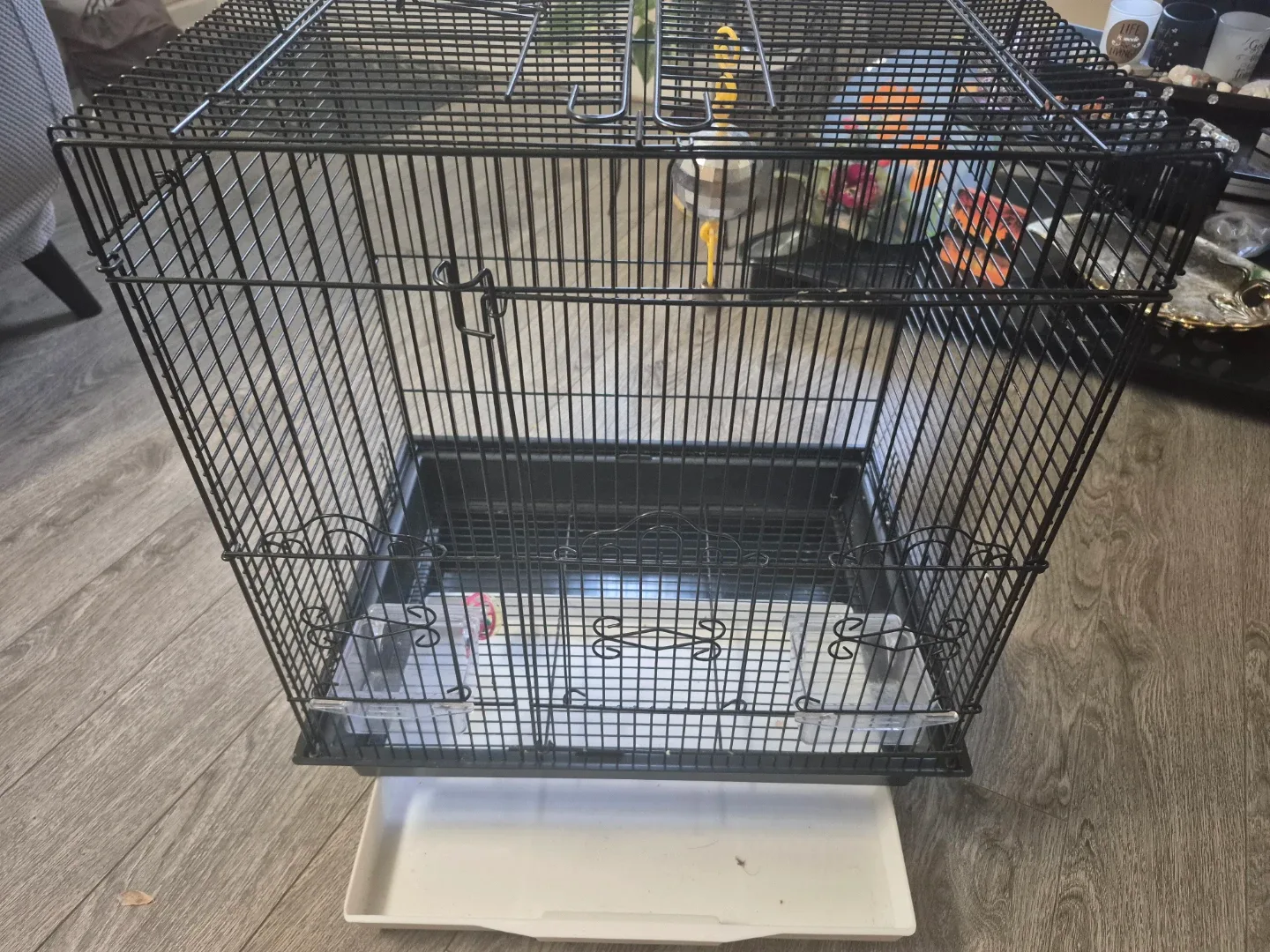 Bird Cage - Black image indicator(2)