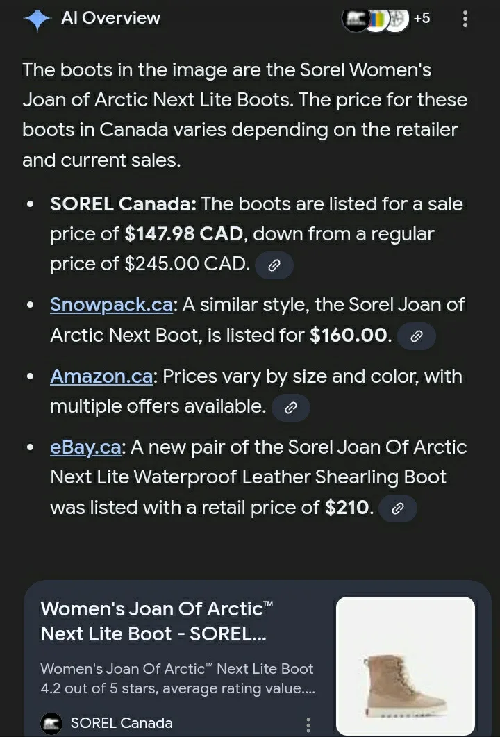 Sorel Explorer Joan of Arctic Cozy Boots - Grey (Size 6) image indicator(9)