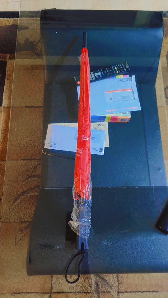 Red Umbrella - photo 4