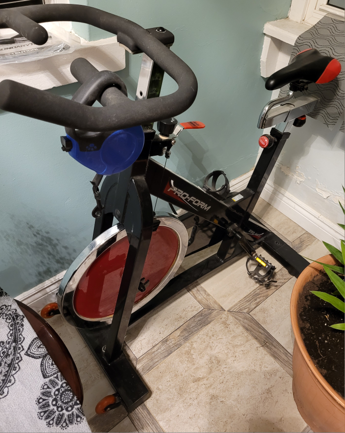 Pro-Form Speed Biking 200 Exercise Bike - photo 2