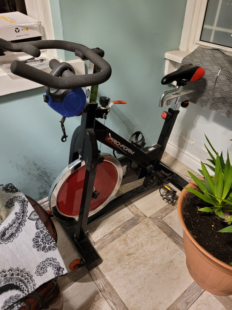 Pro-Form Speed Biking 200 Exercise Bike - photo 4