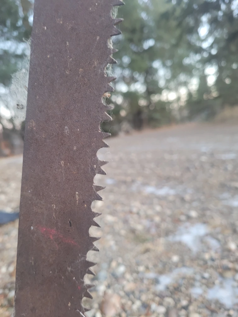 Vintage Buck Saw - photo 4