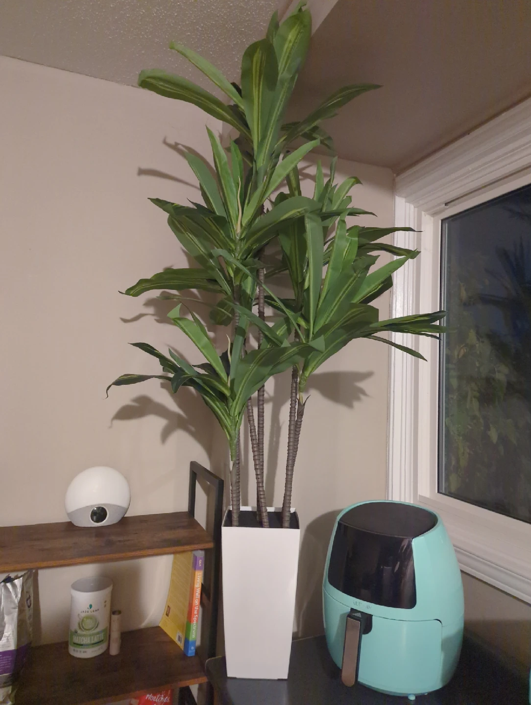 Artificial Dracaena Plant