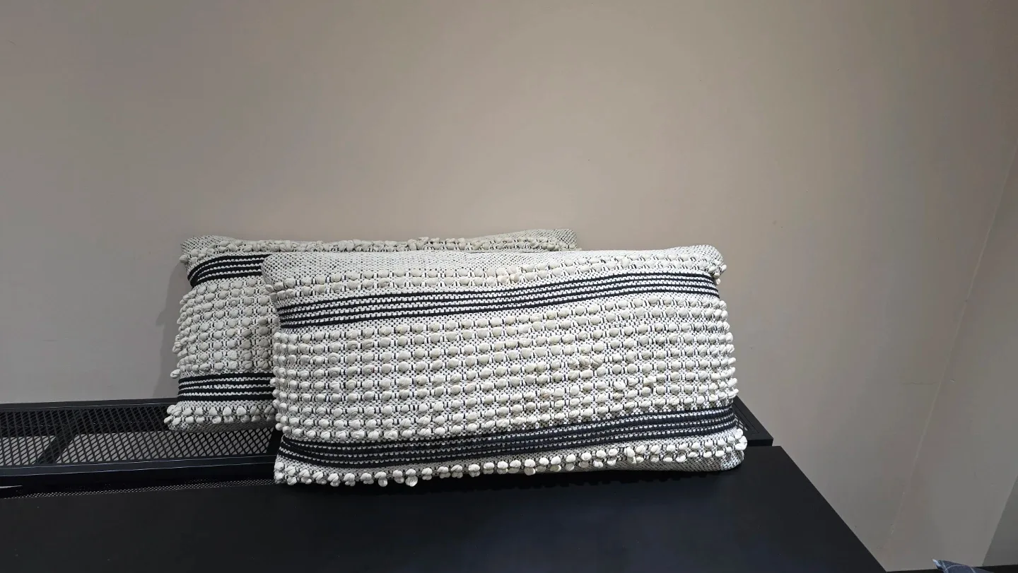 Decorative Throw Pillows image indicator(4)