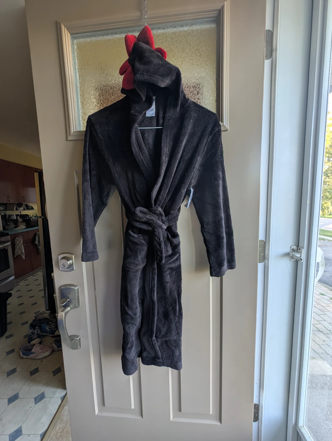 Boys sz 10/12 Dinosaur robe