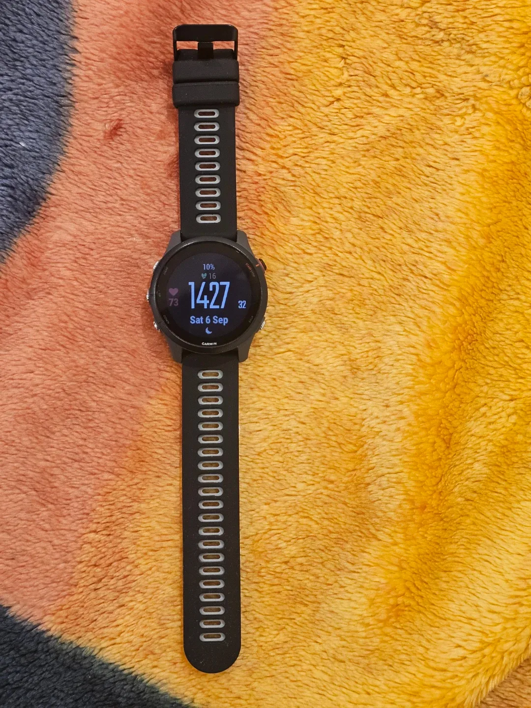 Garmin Forerunner 255 GPS Watch image indicator(3)