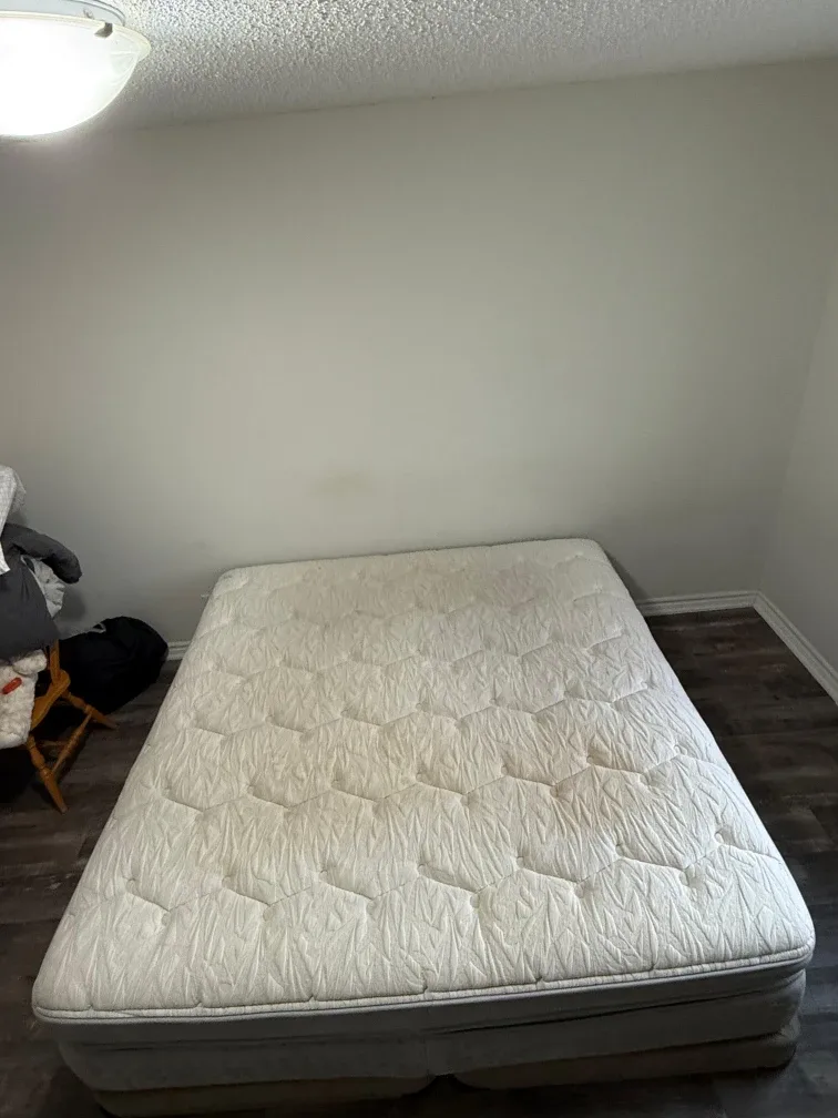 King Mattress with Box Spring image indicator(2)