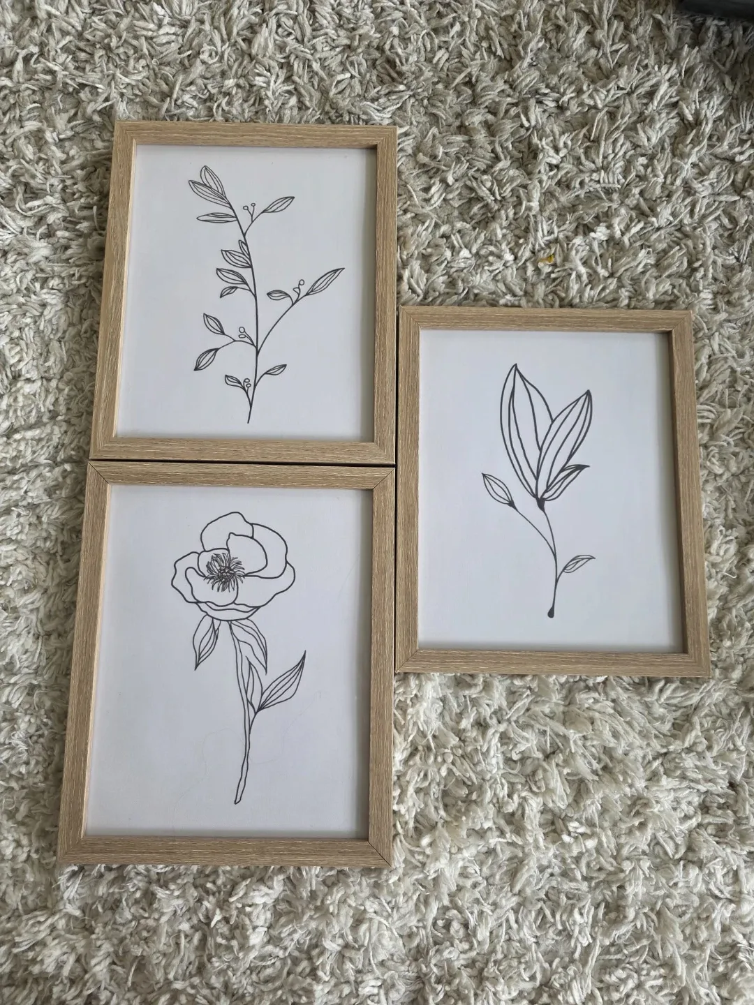 Set of 3 Botanical Line Art Prints in Frames