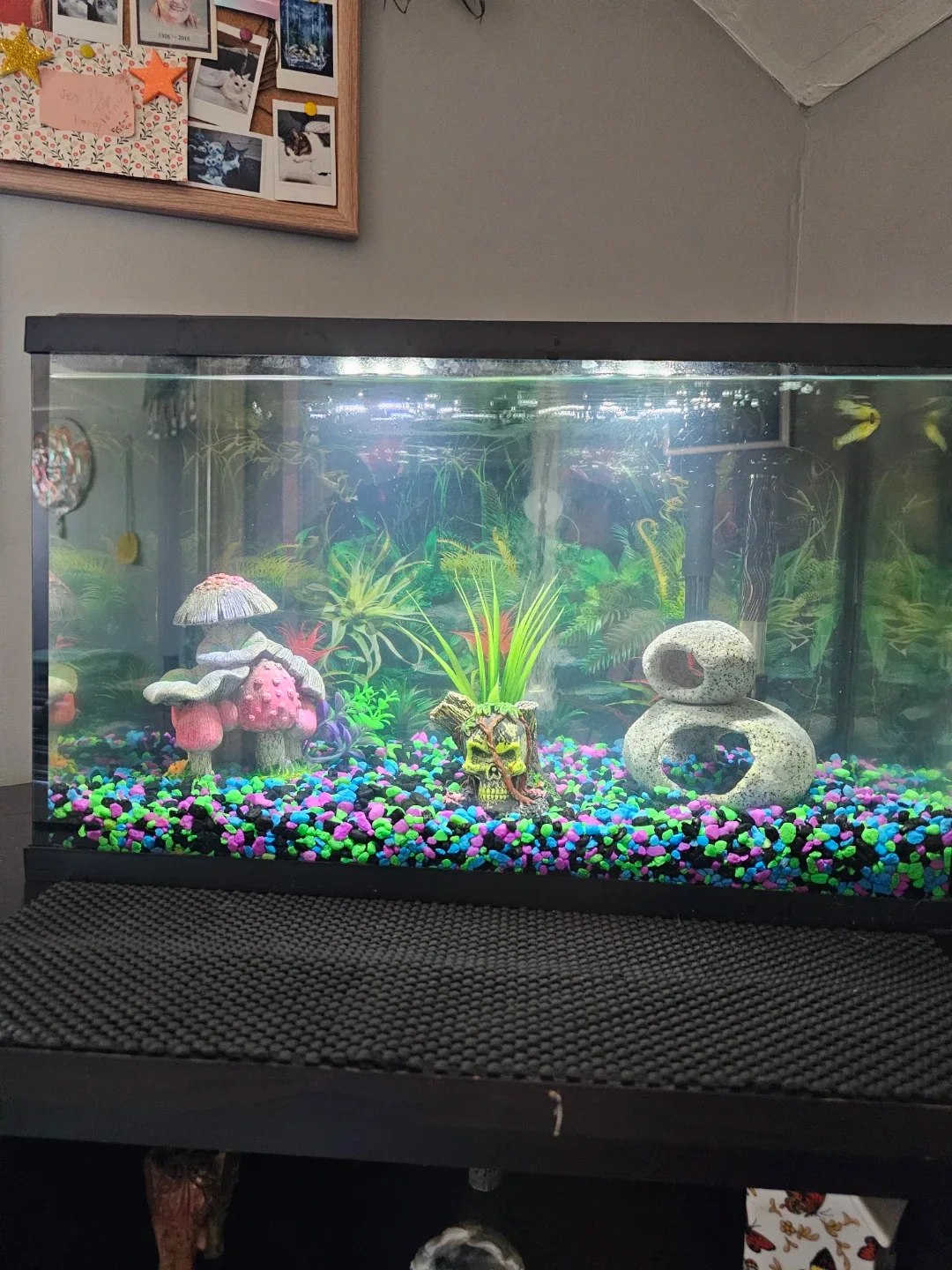 10 Gallon Aquarium Filter & Accessories image indicator(10)