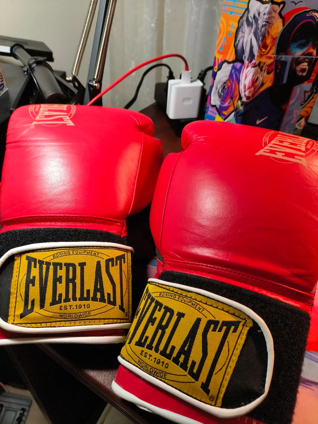 Everlast 1910 Leather Boxing Gloves 16 oz image indicator(3)