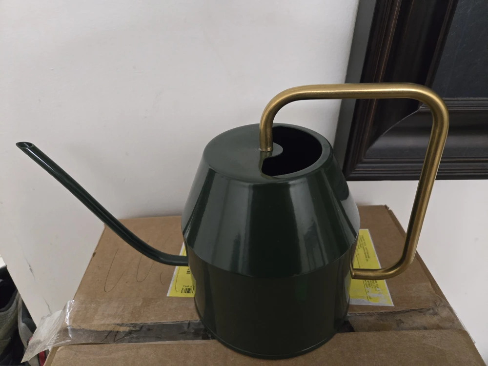 Green Watering Can with Brass Handle