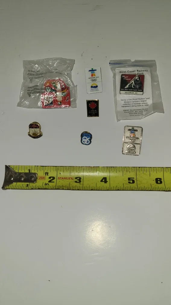 Vintage Souvenir Pins Collection image indicator(2)