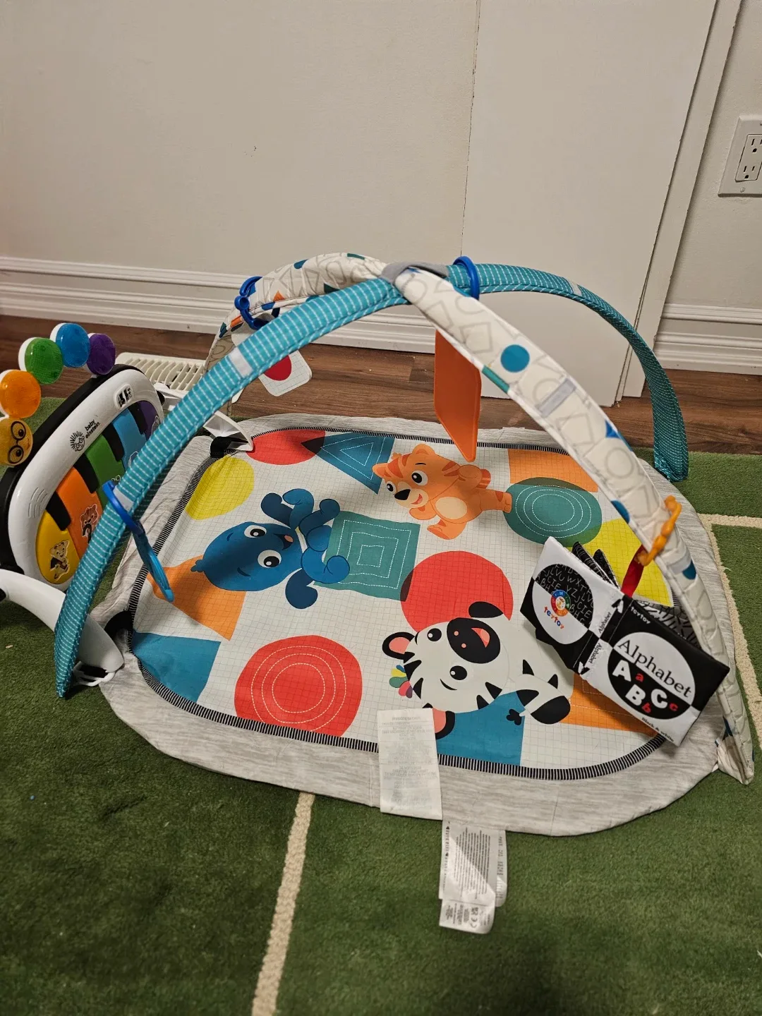Baby Einstein Activity Gym