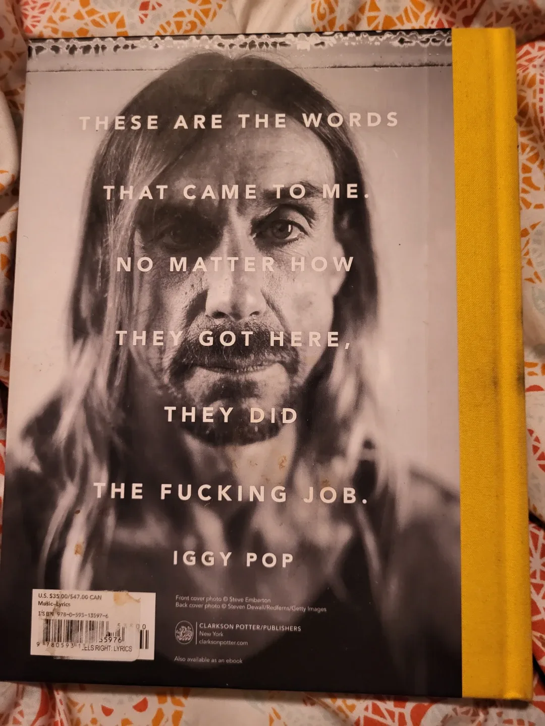'Til Wrong Feels Right: Lyrics and More by Iggy Pop image indicator(2)