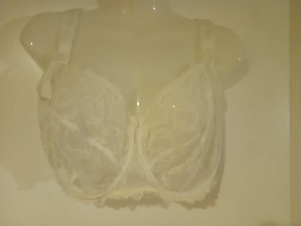 Worn Once Empreinte 36G White Lace Bra