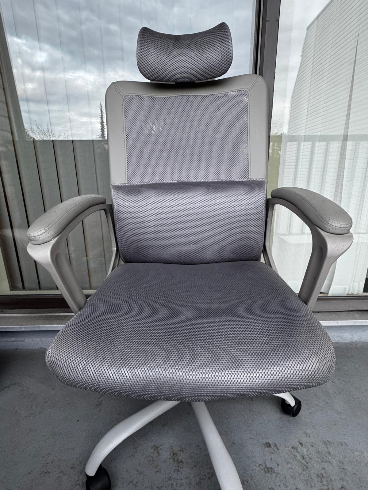 Wayfair Ergonomic Office Chair - photo 2