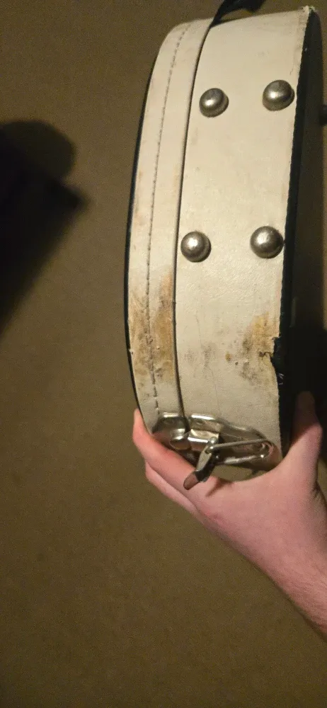 Reverend Two Tone Guitar Case image indicator(3)