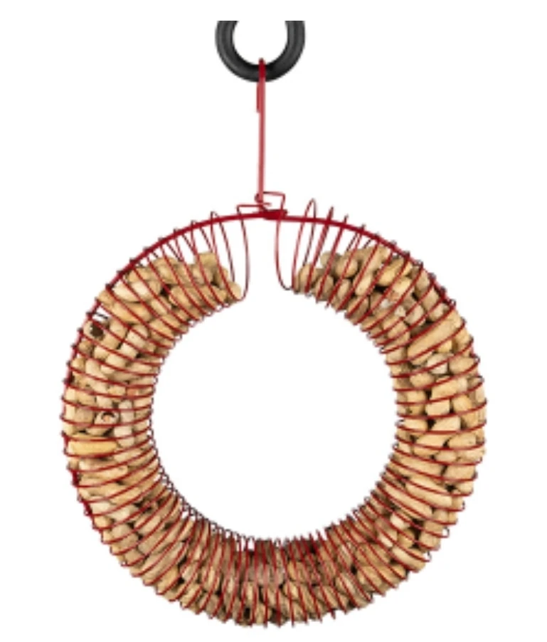 Large Red Peanut Ring - photo 2