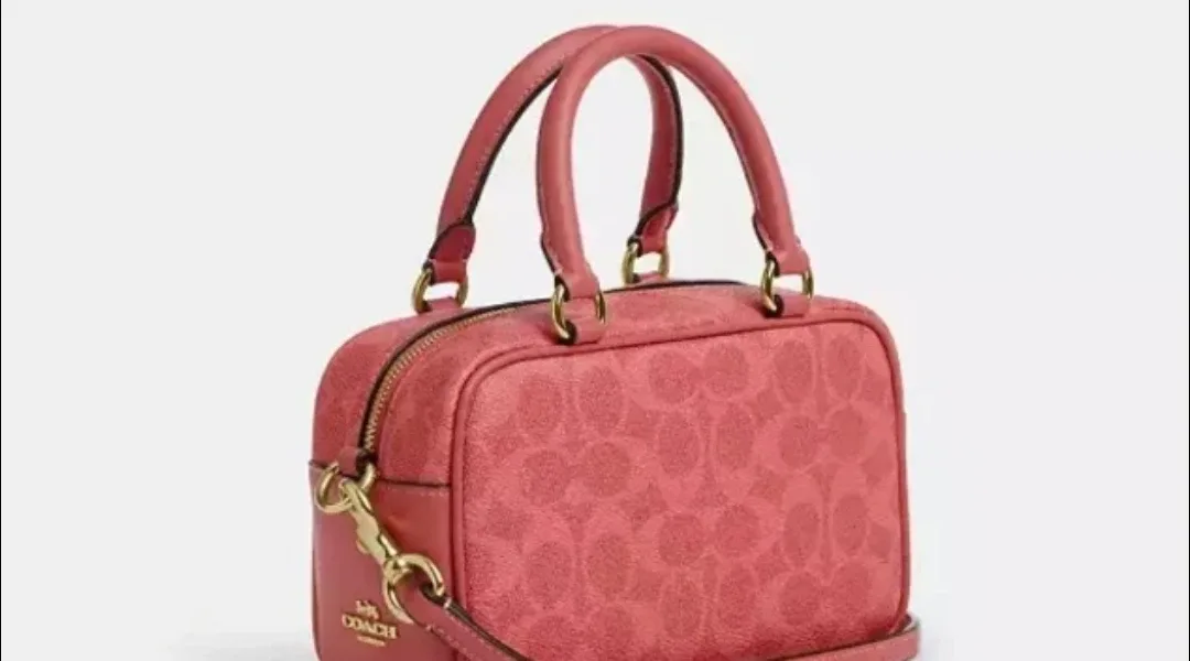 Coach x Peanuts Lucy Printed Satchel.Crossbody Bag image indicator(7)