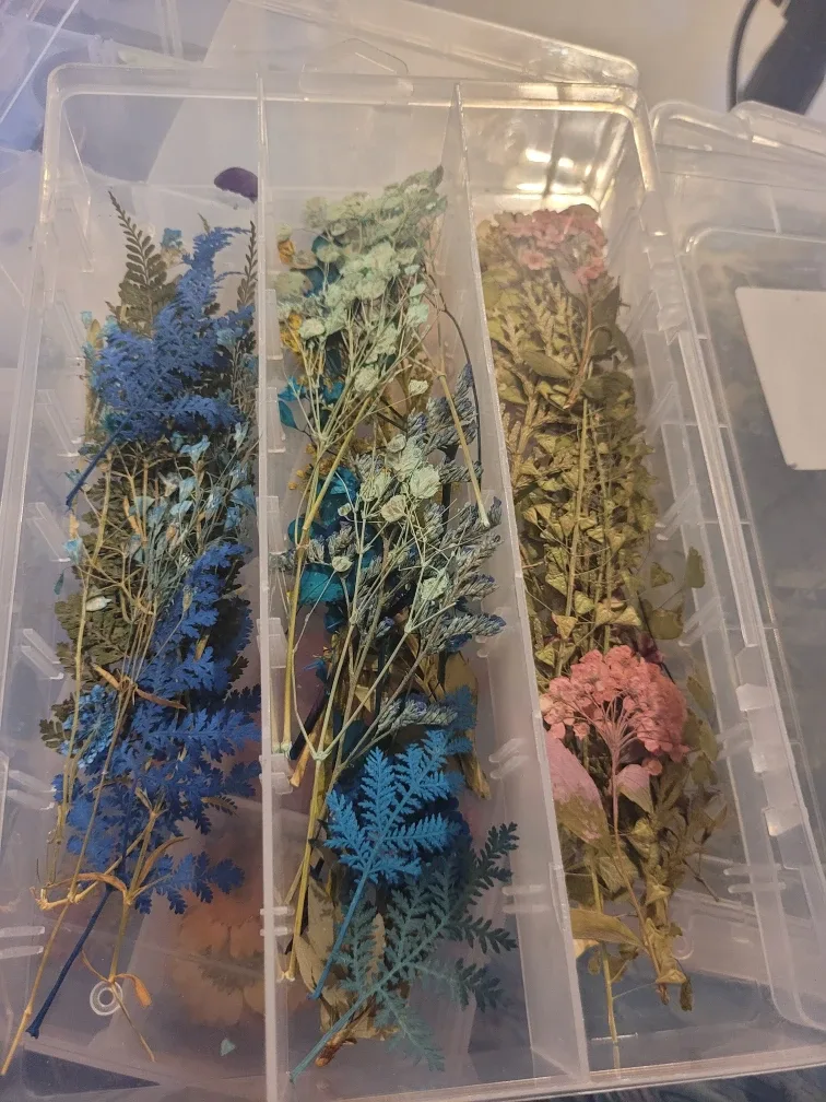 Assorted Dried Flowers and Leaves image indicator(2)