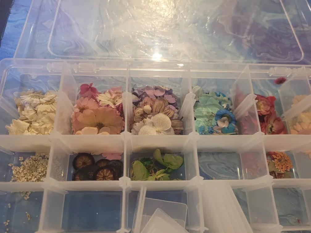 Assorted Dried Flowers and Leaves image indicator(4)