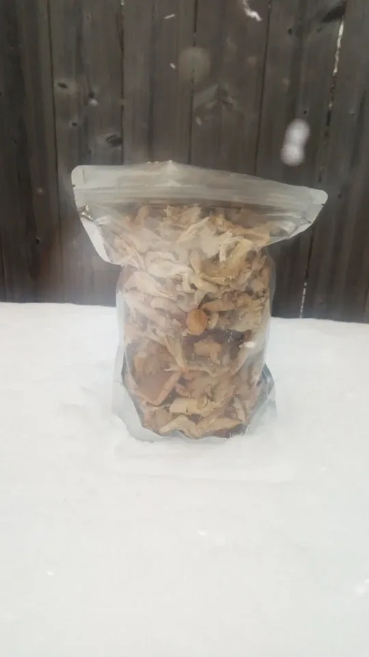 Bag of Dried Chanterelle Mushrooms
