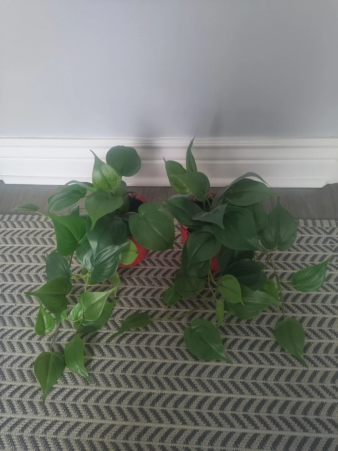 Set of Artificial Potted Heartleaf Plants image indicator(2)