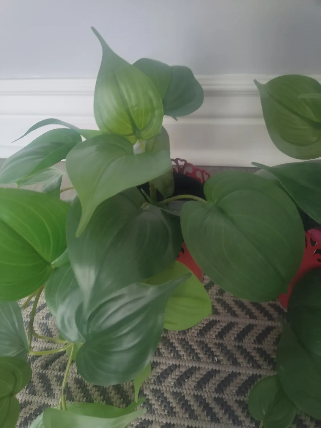 Set of Artificial Potted Heartleaf Plants image indicator(3)