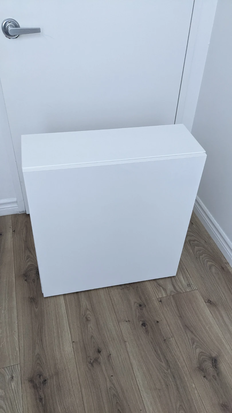 IKEA BESTA Cabinet White Frame, High Gloss White Door