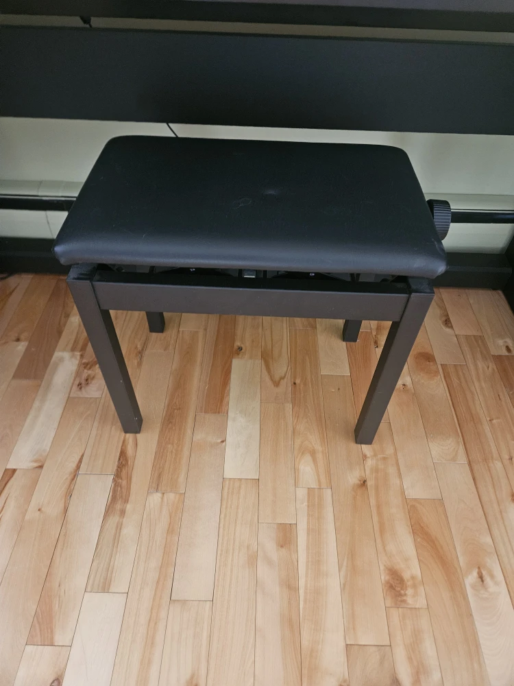 Roland FP-30X Digital Piano with Heintzman Cover - photo 3