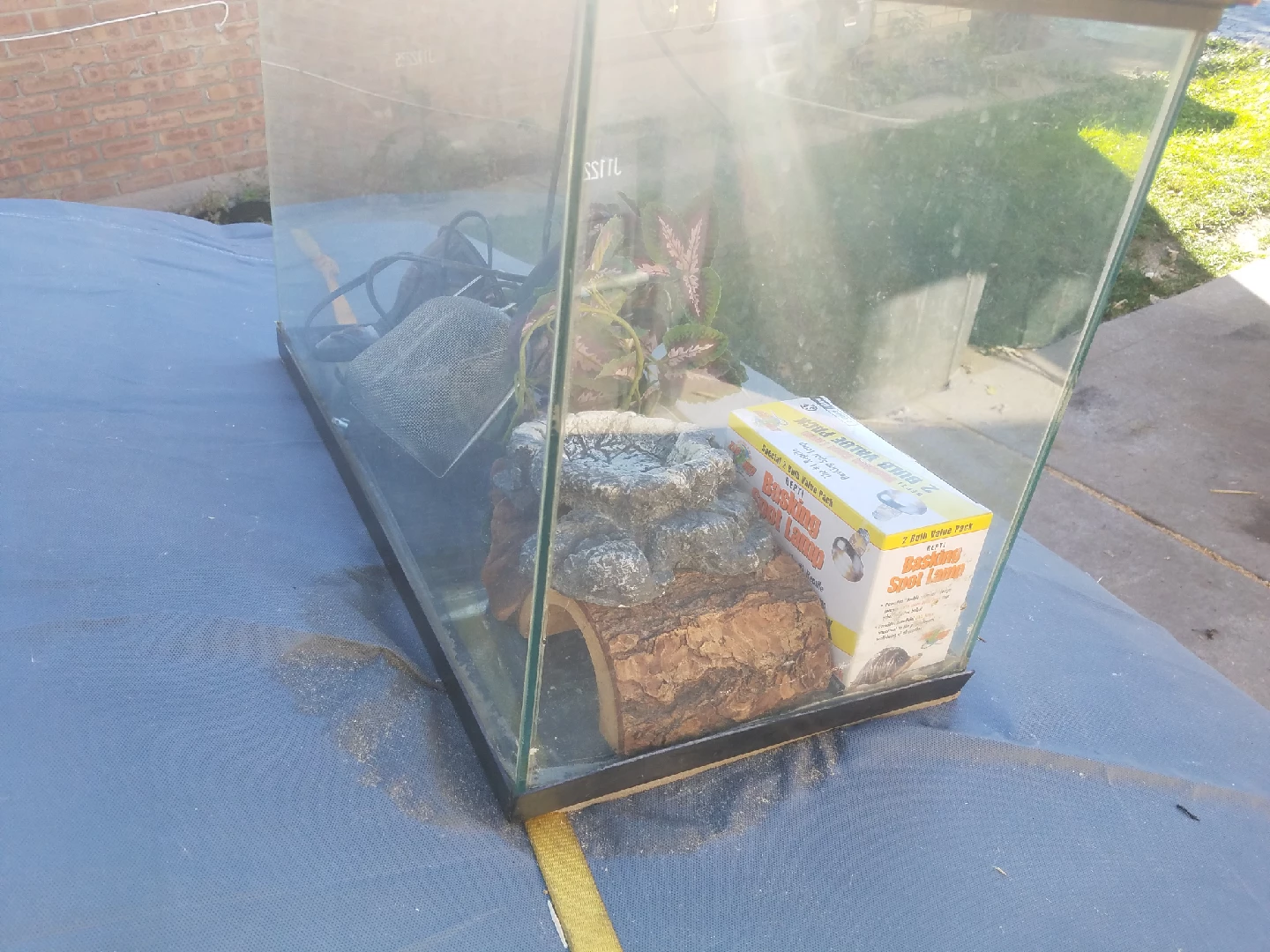 Reptile Habitat Tank with Accessories - photo 3