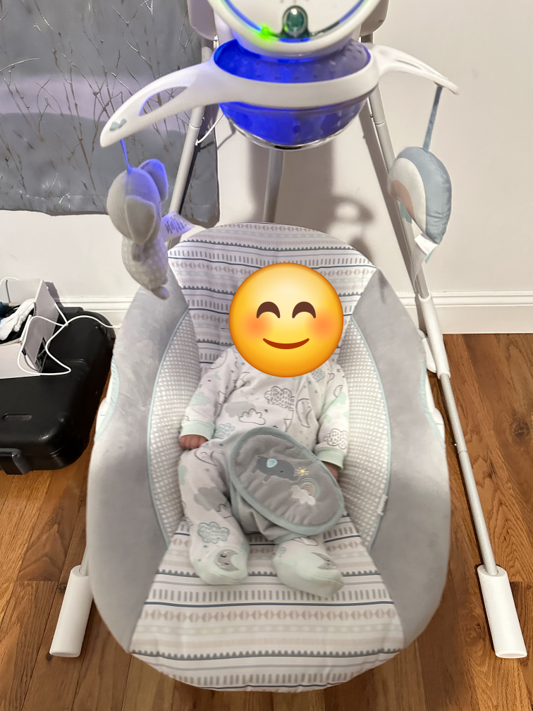 Baby Swing