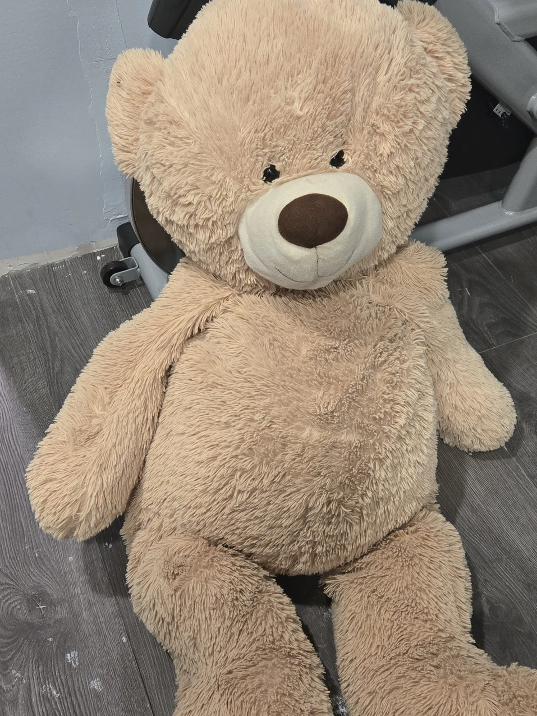 Large Plush Teddy Bear