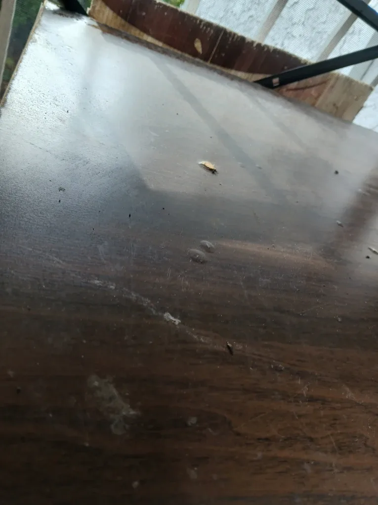 Wooden Side Table image indicator(2)