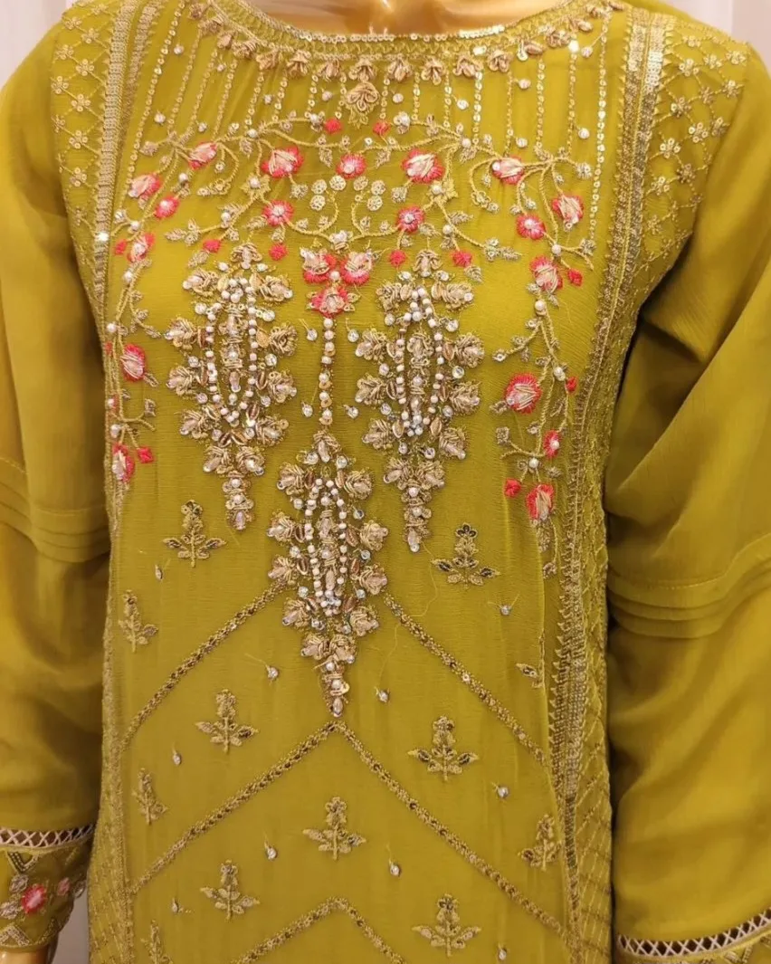 Embroidered Salwar Kameez image indicator(6)