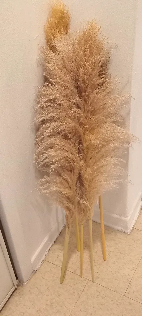 12 stalks ,Pampas Grass Decor