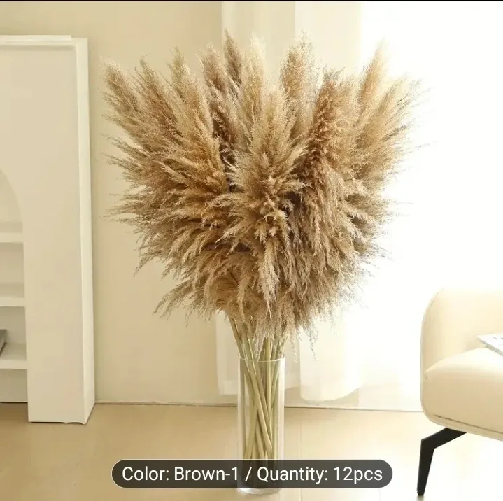 12 stalks ,Pampas Grass Decor image indicator(3)