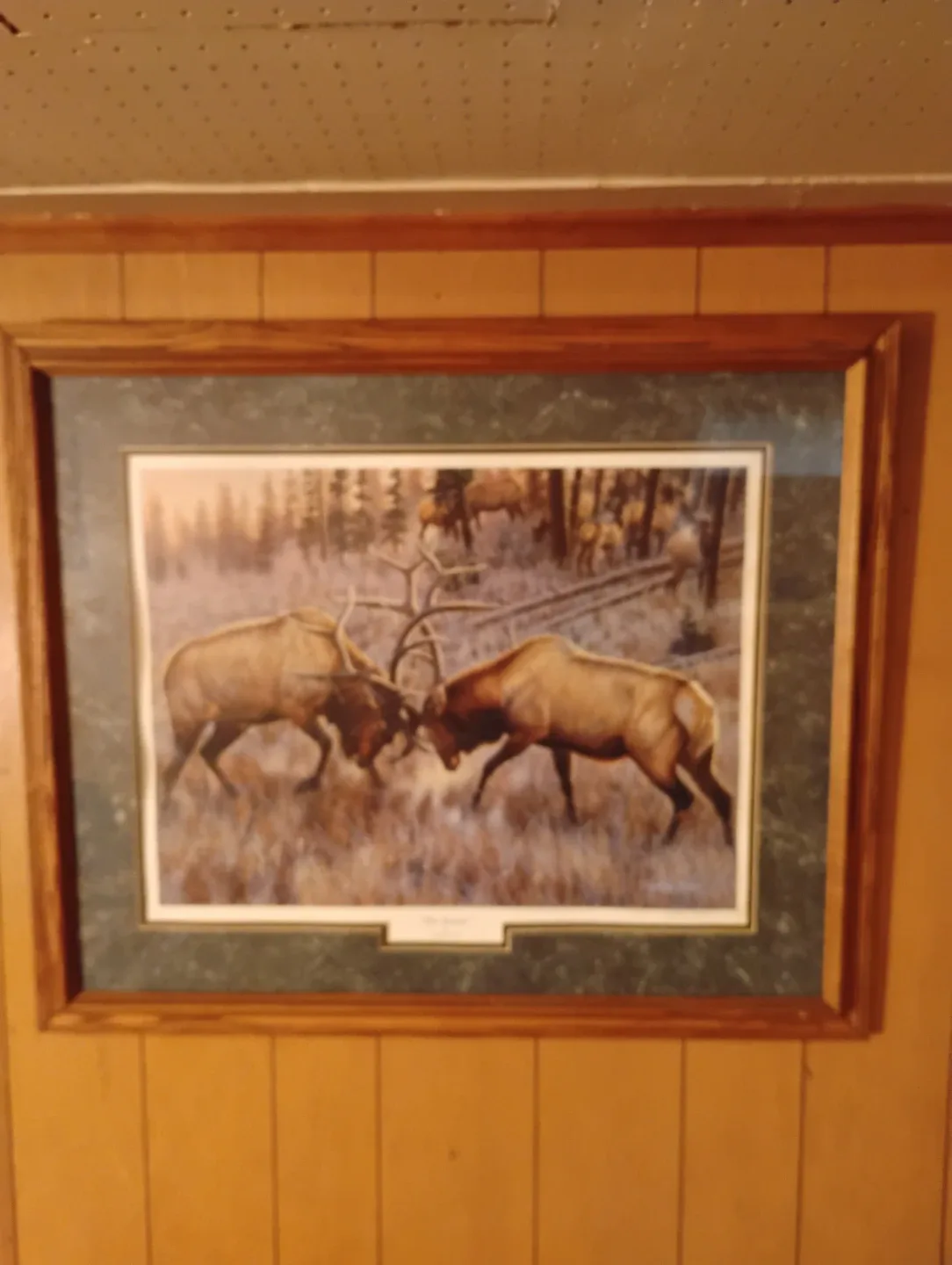 Cynthie Fisher "The Battle" Framed Art Print