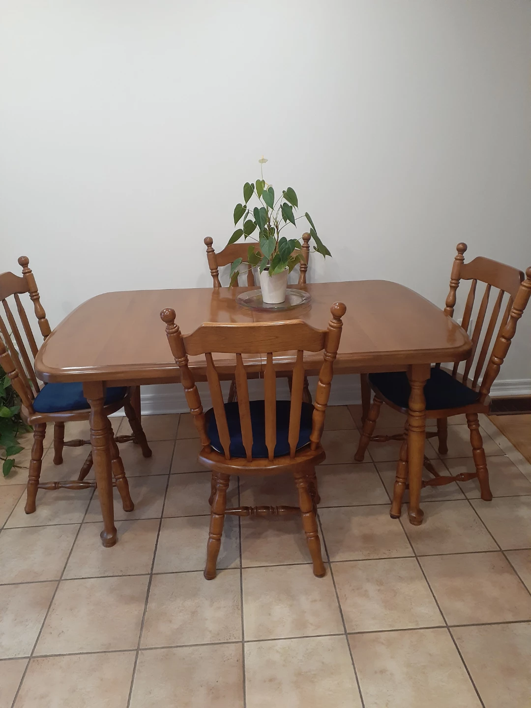 Kitchen  / Dining Table - photo 2