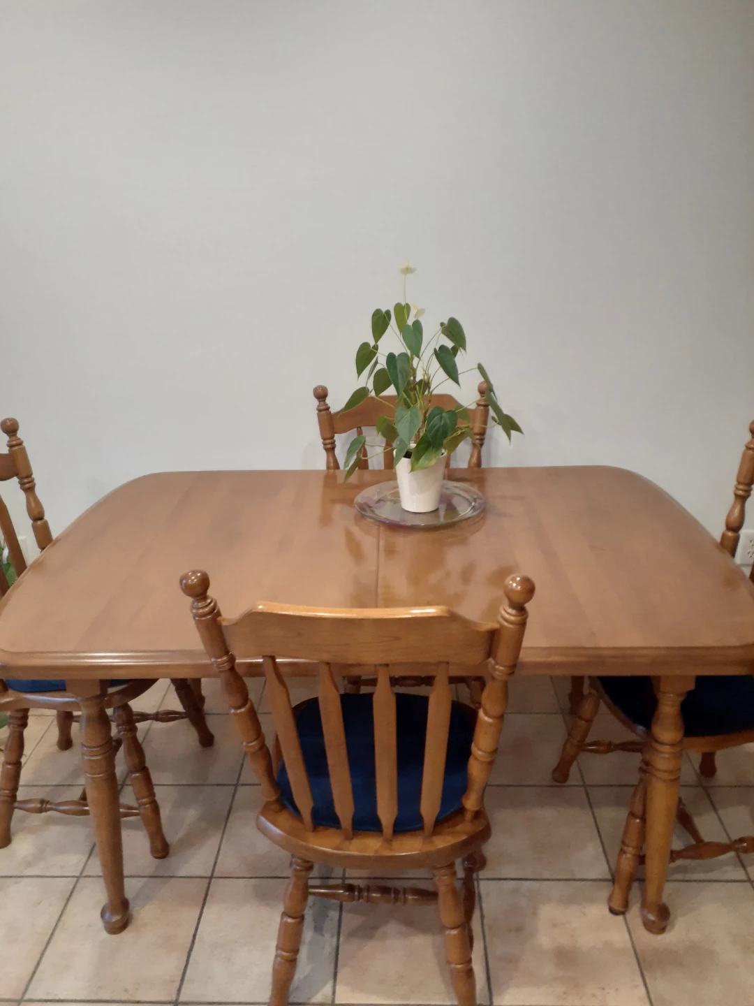 Kitchen  / Dining Table - photo 3