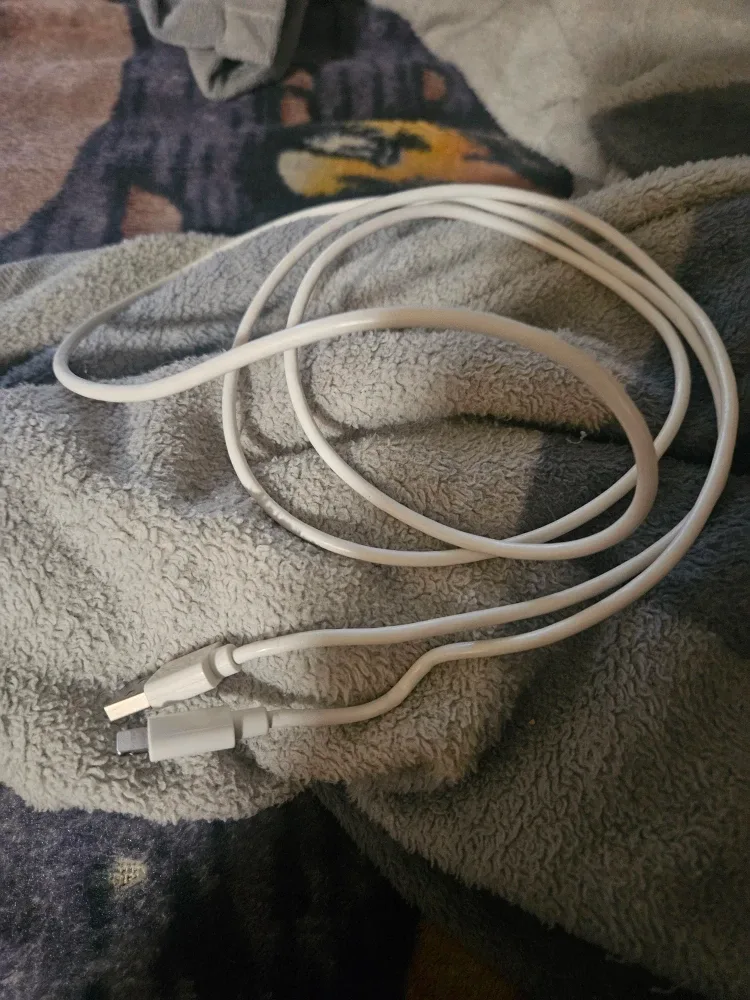 USB-C Charging Cable image indicator(2)