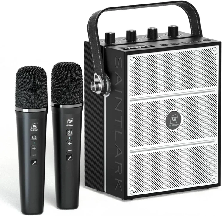 WinBridge Saintlark Portable PA System with Mics - Like New!