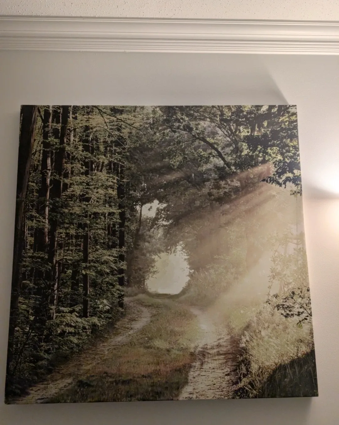 Forest Path Canvas Wall Art image indicator(2)