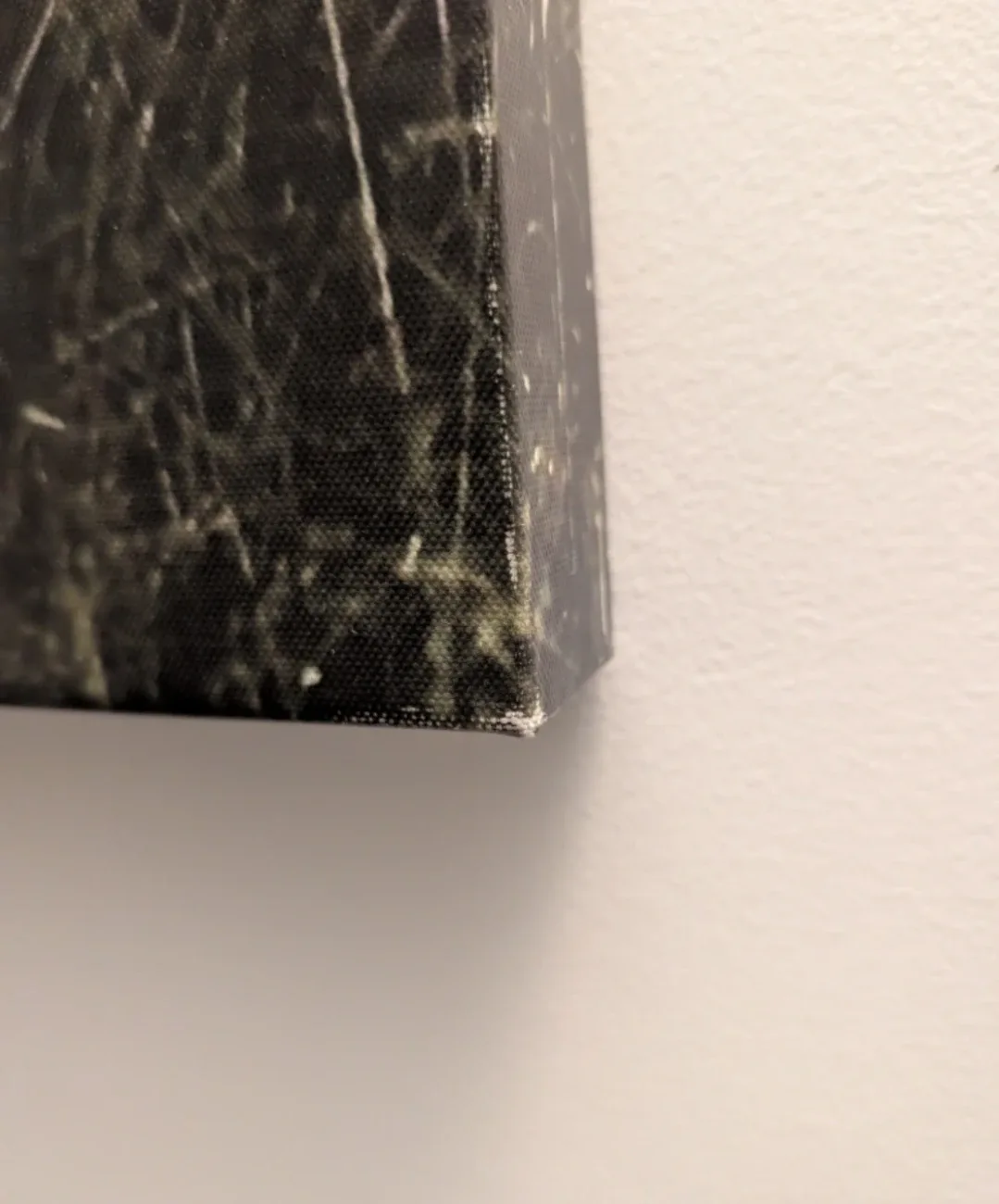 Forest Path Canvas Wall Art image indicator(4)