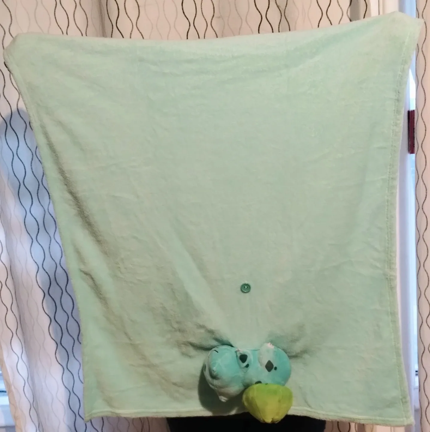 Bulbasaur Plush with Blanket image indicator(4)